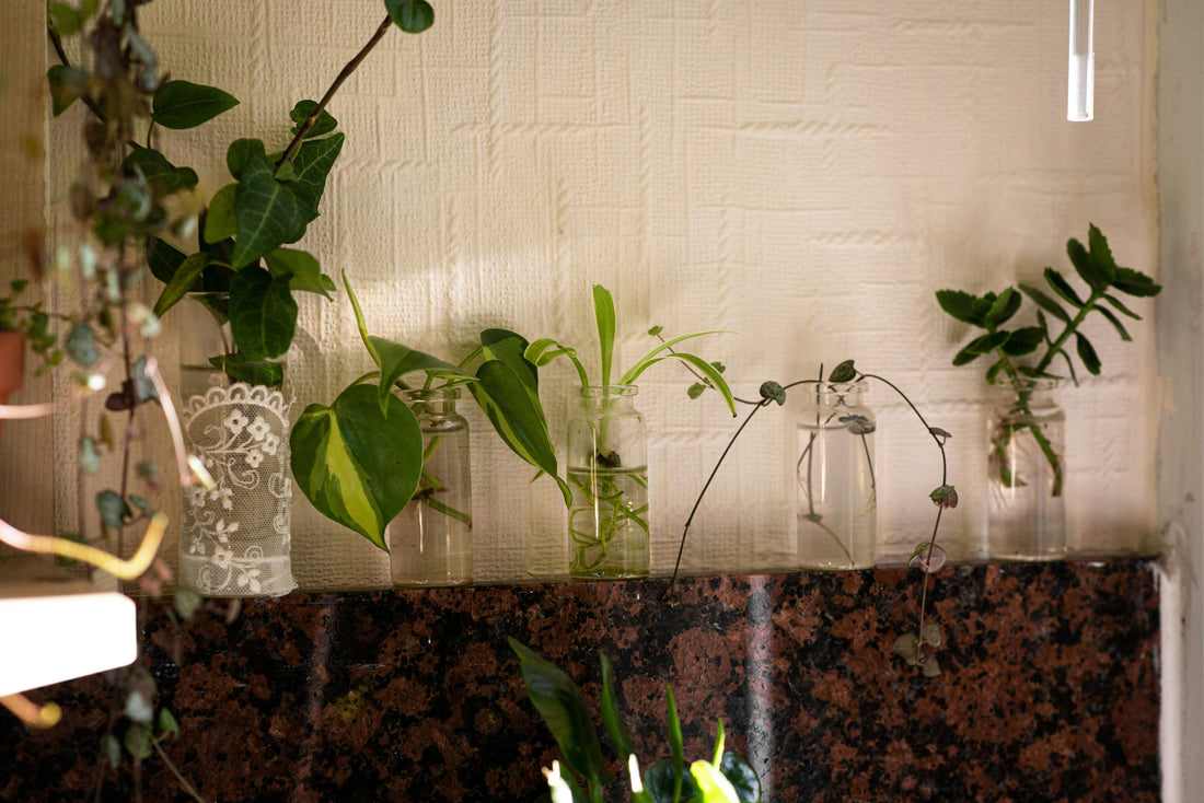Propagation Made Easy!